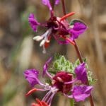 img_7581