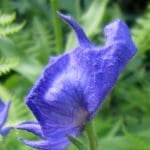 img_7886
