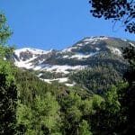img_7983