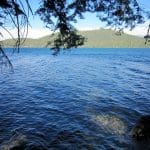 img_8030