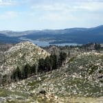 img_8035