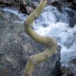 img_8045