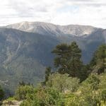 img_8066