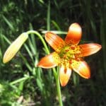 img_8149