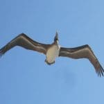IMG_8177