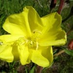 img_8358