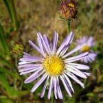 img_8362
