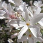 img_8365