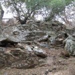 mossonrocks