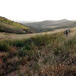 trailwest
