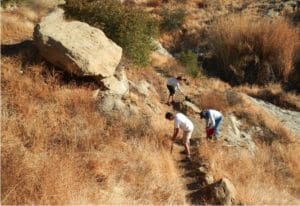 Work Party - The Hummingbird Creek Trail