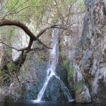img_0769