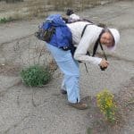 IMG_2657