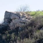 IMG_2762