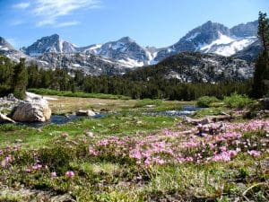 Little Lakes Valley Base-Camp Backpacking Trip