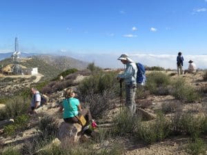 Oak Flat Trail to Whitaker Peak