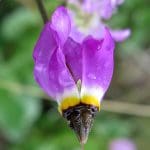 IMG_2867