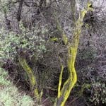 IMG_3548