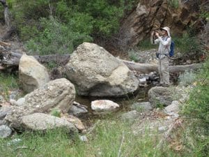 Fish Canyon Narrows from the Templin Highway Gate