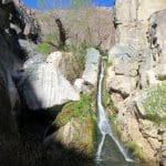 DVNP2 3-5-17 (14)