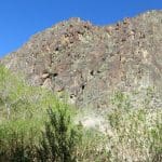 DVNP2 3-5-17 (6)