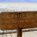 IMG_3230