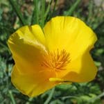 IMG_3571