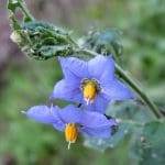 IMG_3578