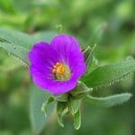 IMG_3703