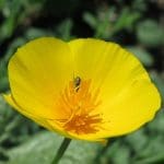 IMG_3720