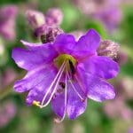 IMG_3808