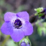 IMG_3817