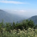 IMG_5382