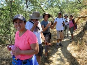 Newton Canyon and the Backbone Trail