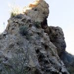 IMG_3968