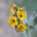 IMG_3975