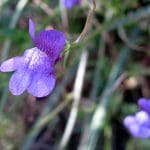 IMG_6911