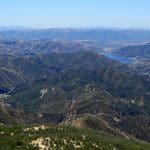 IMG_4431