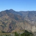 IMG_4449