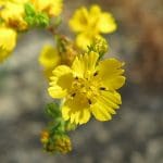 IMG_4652