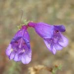 IMG_4787