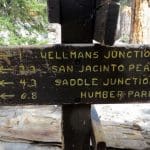 IMG_8466