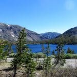 IMG_8521
