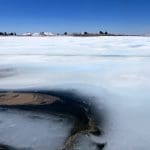 IMG_8548