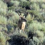 IMG_8551