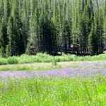 IMG_8577