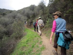 Upper Zuma Canyon and Zuma Ridge to Buzzards Roost