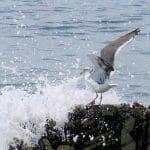 IMG_5167