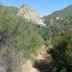 IMG_5328