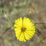 IMG_5368